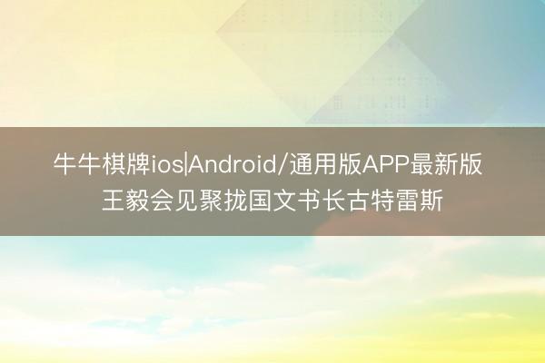 牛牛棋牌ios|Android/通用版APP最新版 王毅会见聚拢国文书长古特雷斯